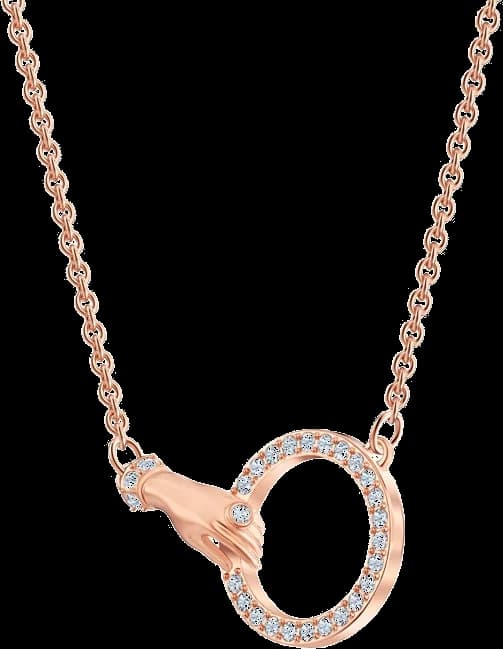Montre Swarovski 5489573 femme détail cadran