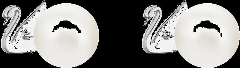 Montre Swarovski 5416591 femme détail cadran