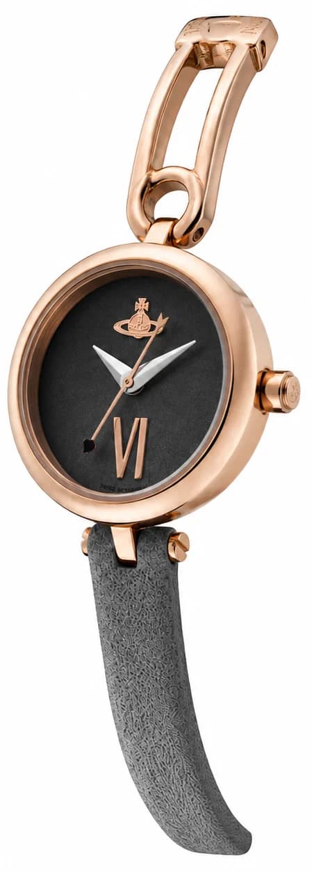 Montre Vivienne Westwood VV200RSGY femme vue de profil