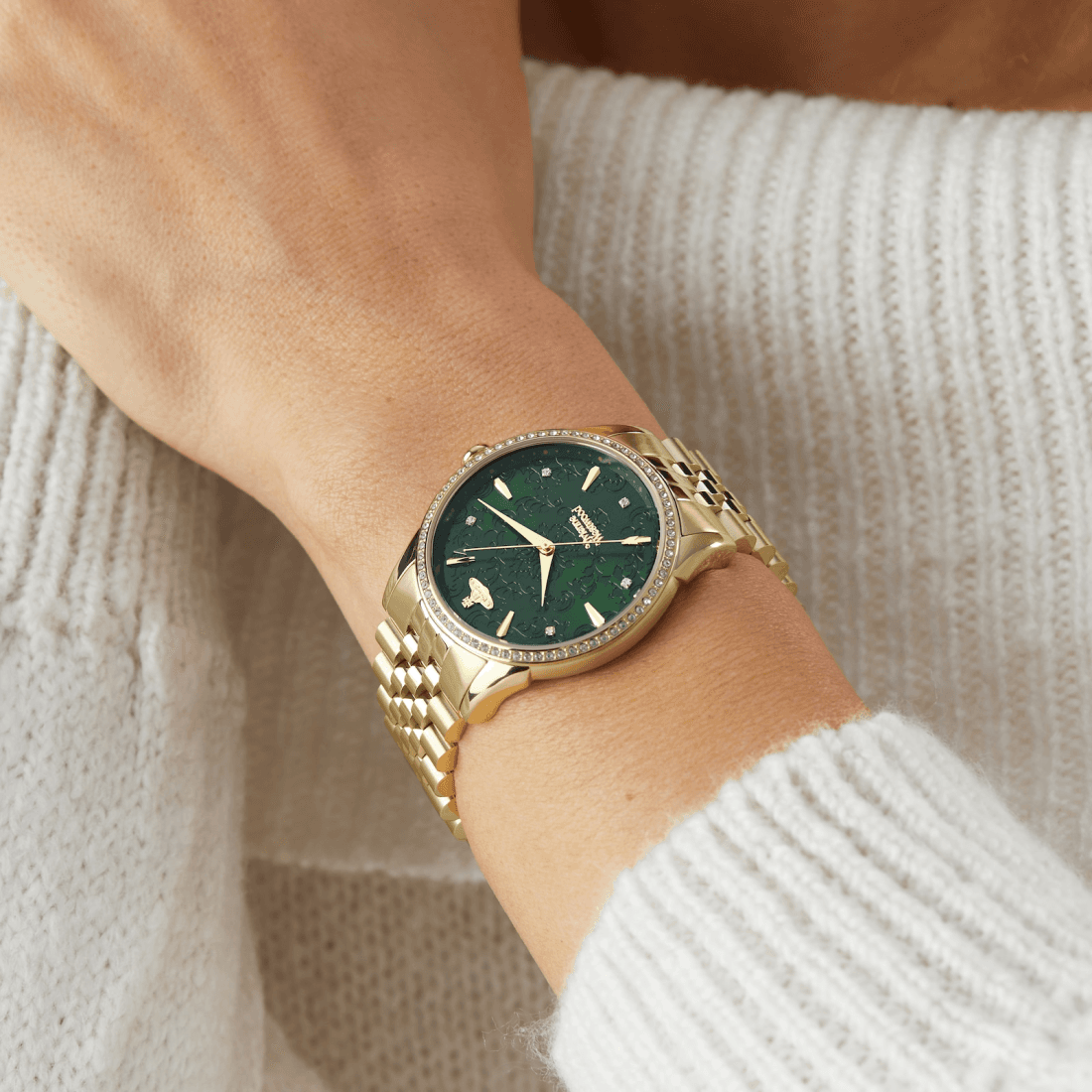 Fond du boîtier du garde-temps Vivienne Westwood VV208GDGD