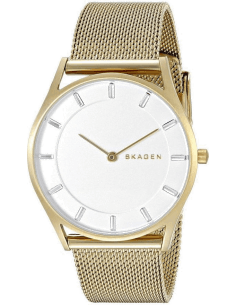 Montre Femme Skagen SKW2377 Bracelet en Maille Milanaise Grise