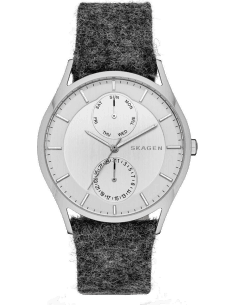 Montre Homme Skagen Holst SKW6238 Cadran Argent Bracelet Nylon-Tissu Gris