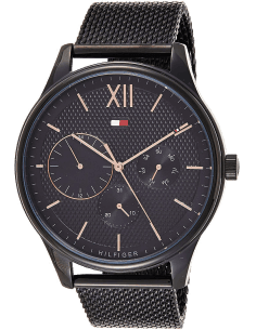 Montre Tommy Hilfiger 1791420 Damon Bracelet Maille Milanaise